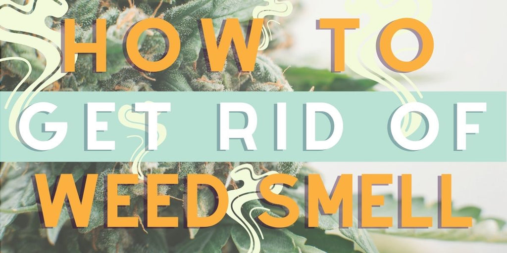 How To Get Rid Of Weed Smell