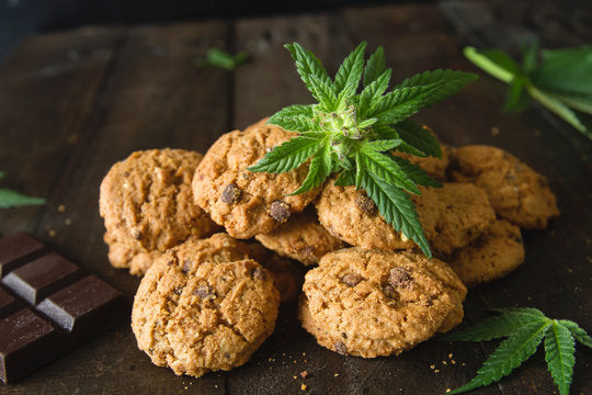 Infused Edibles: A Holidaze Guide