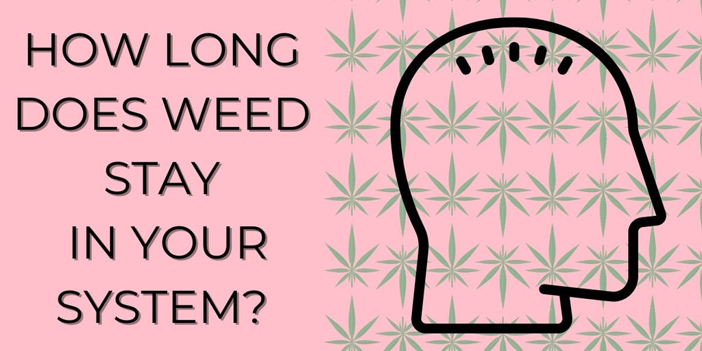 How Long Does Weed Stay In Your System?