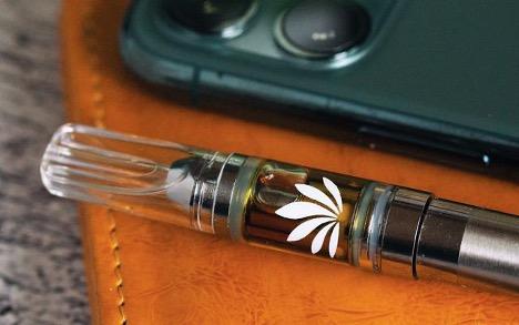 elfbar nachfüll pod läuft aus CBD Terpenes Vape Juice 10ml Bundle | CBD Calm